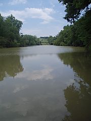 L River Rockford