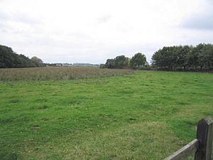 Looking South from the Solent Way - geograph.org.uk - 595004.jpg