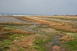 Low tide at The Kench - geograph.org.uk - 378650