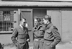 Malan, Charles, Deere at Biggin Hill WWII IWM CH 9994
