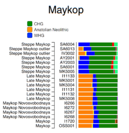 Maykop admixture