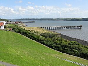 Milford Haven Piers - geograph.org.uk - 1416854