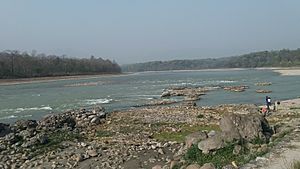 Narayani river in Chitwan