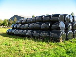 Newton of Cawdor stack of bales - geograph.org.uk - 545290