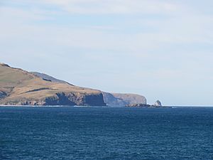 Otago Peninsula South Coast headlands