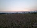 Paddy field bd34