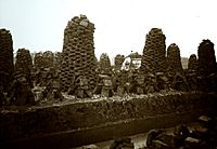Peat stacks and cutting