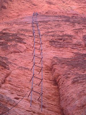 Pipe Ladder