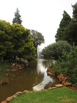Pond by the Gavin Reilly Green, Wits University