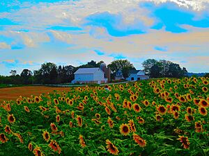 Pope Farm Conservancy - panoramio (5)