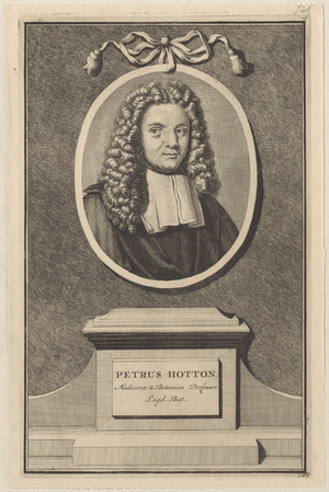 Portret van Petrus Hotton, hoogleraar te Leiden BN 729f