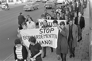 Protestdemonstraties tegen oorlog in Vietnam, demonstranten met leuzen, Bestanddeelnr 919-3118