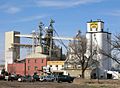 Ranchway Feeds mill, Fort Collins, Colorado