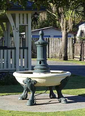 Reefton Horse Trough 02