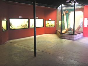 Reptile Room at Las Vegas Zoo