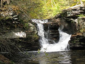 Ricketts Glen State Park Murray Reynolds Falls 6