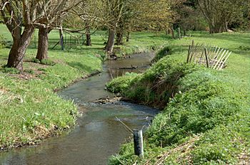 River Ver in St Albans, Hertfordshire 009.jpg