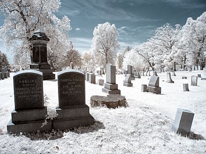 RocSnow Infrared Cemetery (17836702701)