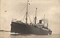 SS Flavia
