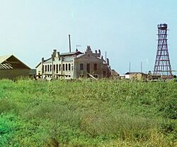 Sabirabad (Petropavlovka).Pambıqtəmizləmə zavodun inşası