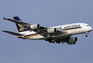 Singapore Airlines A380-841 (9V-SKB) landing at Singapore Changi Airport (3)