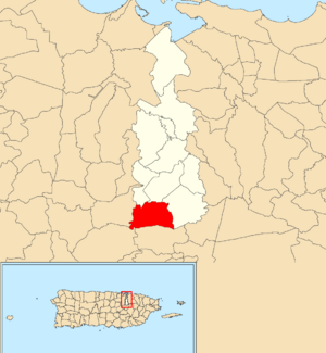 Location of Sonadora within the municipality of Guaynabo shown in red