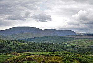 SouthernRhinnsofKells