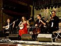 Sparrowquartet