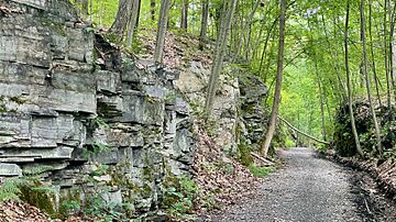 Sussex Branch Trail, Andover Township, NJ - railway cutting