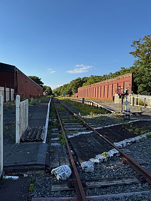 Thornton-Cleveleys Station from Station Road Level Crossing 2024