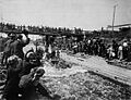 Timber slide 1901