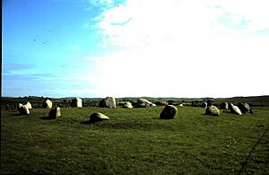 Torehousekie Stone Circle - geograph.org.uk - 1098160