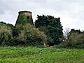 Tower Mill, Hagworthingham - geograph.org.uk - 578562