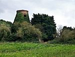 Tower Mill, Hagworthingham - geograph.org.uk - 578562.jpg