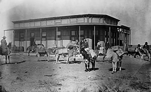 A pack train of burros in front of the bank in Arkalon (circa 1880-1899)