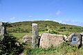 Trevalgan Hill - geograph.org.uk - 901196