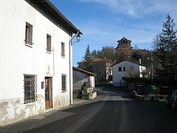 Trokoniz Facts for Kids