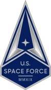 U.S. Space Force collar insignia