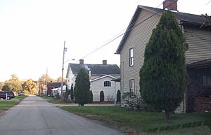 Whitsettpatch