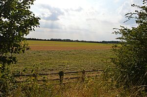 Whittlesford-Thriplow Hummocky Fields 3