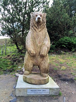 'Hercules the bear' statue on North Uist.jpg