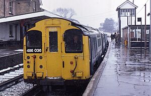16.03.85 Sandown 486.036 (6076456875)