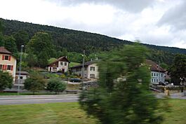 2011-08-27 Cormoret (Foto Dietrich Michael Weidmann) 020.JPG