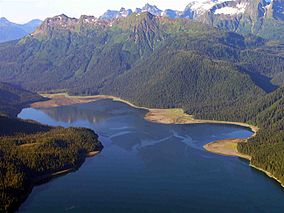 A photo of Windfall Harbor and surrounding forest and mountains from above