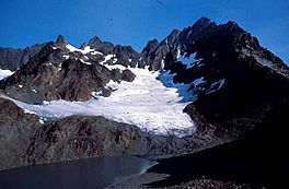 Anderson Glacier, Olympic National Park.jpg