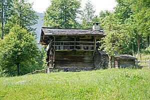 Ballenberg 1111 - Wohnhaus von Blatten VS - Ostansicht