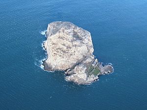 Bass Rock from the air - geograph.org.uk - 1523275