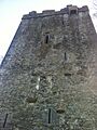 Burnchurch Castle 2013-08-28 21-31