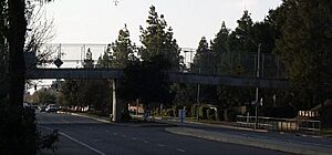 Covell bike overpass