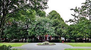 Dukinfield Park Top Terrace